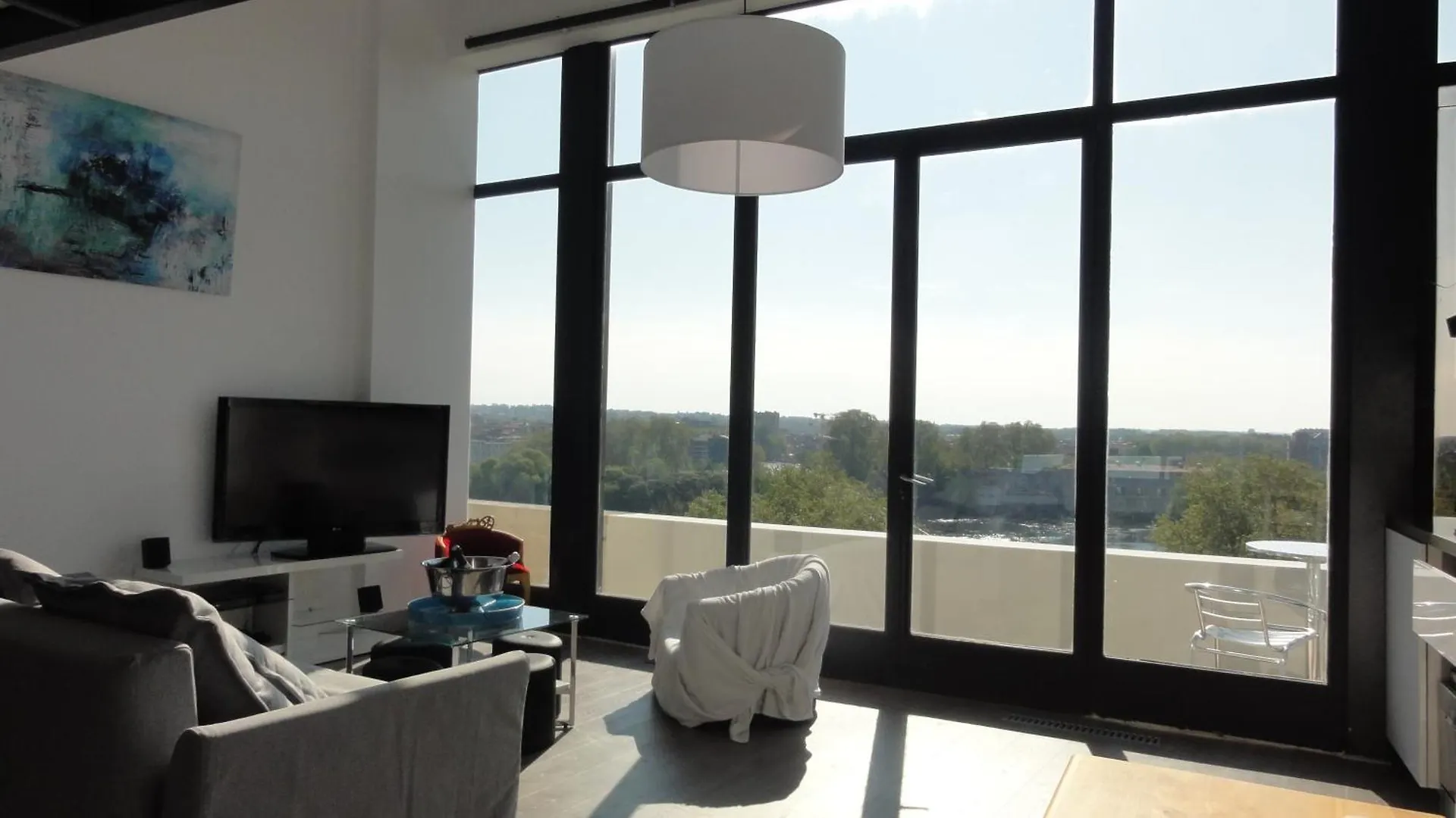 Loft Vue Fleuve Garonne Parking Gratuit Apartment Toulouse